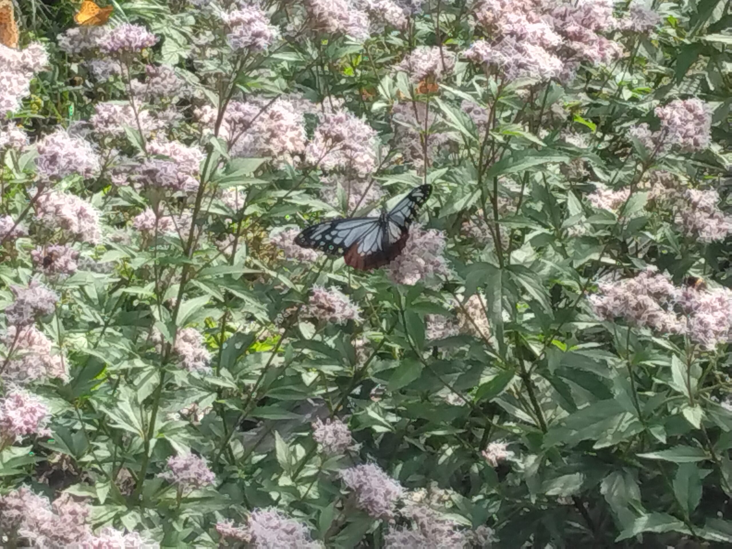 不登校の親子の日常の一コマ